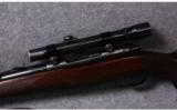 Winchester Pre 64 Model 70 in .270 WCF - 5 of 7