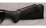 Benelli R1 in .300 Win mag - 8 of 9