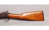 Winchester 1906 in .22 short - 4 of 10