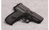 Sig Sauer P229 .40 S&W - 1 of 2