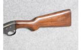 Remington 24 in .22 Short - 7 of 9