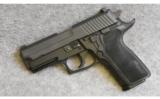 Sig Sauer P229 in .40 S&W - 2 of 2