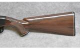 Remington Nylon 66 in .22 LR - 7 of 9