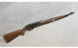 Remington Nylon 66 in .22 LR - 1 of 9