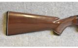 Remington Nylon 66 in .22 LR - 5 of 9