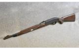 Remington Nylon 66 in .22 LR - 9 of 9
