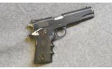 Colt Combat Government in .45 ACP - 1 of 2