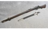 Martini-Enfield MK IV in .577/450 w/bayonet - 9 of 9