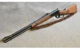 Winchester 94 in .32 W.S. - 9 of 9