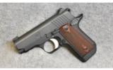 Kimber ~ Micro Carry ~ .380 ACP - 2 of 2
