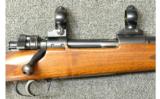 Mauser ~ 98 