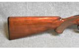 Winchester ~ 101 ~ 12 Gauge - 2 of 9