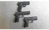 Sig Sauer ~ P250 Modular Set ~ .40 S&W/.357 Sig - 3 of 3