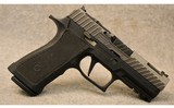 Sig Sauer/Zev ~ Model P320 ~ 9mm Luger - 1 of 2