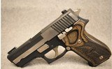 Sig Sauer ~ P220 Equinox ~ .45 Auto - 2 of 2