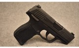 Sig Sauer ~ P365 ~ 9mm Luger - 1 of 2