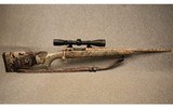 Savage ~ Model 10 ~ .223 Remington