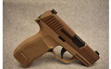 Sig Sauer ~ P365 ~ 9mm Luger - 1 of 3