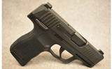 Sig Sauer ~ P365 ~ 9mm Luger - 1 of 3