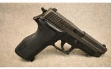 Sig Sauer ~ P226 ~ .40 S&W - 1 of 3