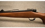 Remington ~ Model 7 ~ .243 Winchester - 6 of 14
