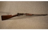 Winchester ~ Model 1906 ~ .22 Short - 1 of 14