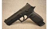 Sig Sauer ~ P250 Long Knife - Iraq 2010/2011 ~ 9mm Luger - 2 of 3