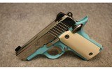 Kimber ~ Micro Special Edition ~ .380 ACP - 2 of 3