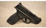 Springfield ~ Hellcat ~ 9mm Luger - 1 of 3