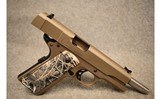 Para Arms ~ 1911 Ducks Unlimited ~ 9mm Parabellum - 3 of 3