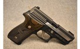 Sig Sauer ~ P229 ~ .40 S&W - 1 of 3
