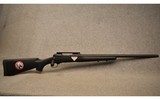 Savage Arms
Model 10
.308 Winchester