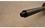 Savage ~ 93R17 ~ .17 HMR - 13 of 14