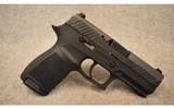 Sig Sauer ~ P320 Compact ~ 9mm Luger - 1 of 3