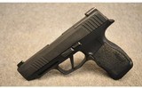 Sig Sauer ~ P365 XL ~ 9mm Luger - 2 of 3
