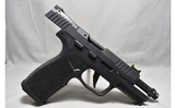 Sig Sauer ~ P322 ~ .22 Long Rifle - 3 of 3