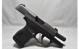Sig Sauer ~ P365 ~ 9mm Luger - 3 of 3