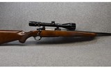 Sturm Ruger ~ M77 ~ .243 Winchester