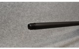 Benelli ~ Lupo ~ .300 Winchester Magnum - 13 of 14