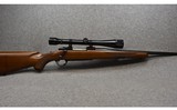 Sturm Ruger ~ M77 ~ .243 Winchester - 1 of 14