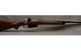 Mauser ~ Argentino 1891 - 1 of 8