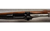 Mauser ~ Argentino 1891 - 8 of 8