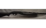 Legacy Sports ~ Pointer ~ 12 Gauge - 1 of 8