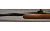 Winchester ~ Model 670 ~ .243 Winchester - 7 of 8