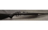 Ruger ~ American ~ .22 Long Rifle - 1 of 8