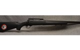 Savage ~ Model 10 ~ .308 Winchester - 1 of 8