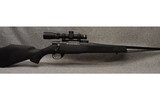 Weatherby ~ Vanguard ~ .243 Winchester - 1 of 8