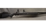 Savage ~ Model 110 ~ .22-250 Remington - 1 of 8