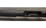 Savage ~ Model 110 ~ .22-250 Remington - 8 of 8