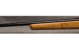 Deutsche Waffen ~ Argentino 1909 ~ 6mm Remington - 7 of 11